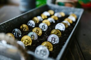 Leia mais sobre o artigo Vale a Pena Investir em Criptomoedas em 2025?