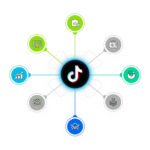 Infográfico mostrando diferentes formas de ganhar dinheiro no TikTok, como parcerias, afiliados e vendas online.
